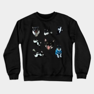 Tiny Cat Stickers Crewneck Sweatshirt